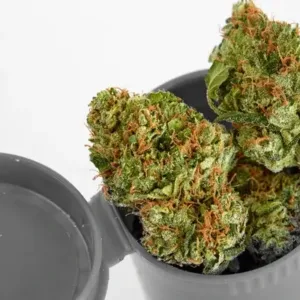 AK-47 Weed Strain