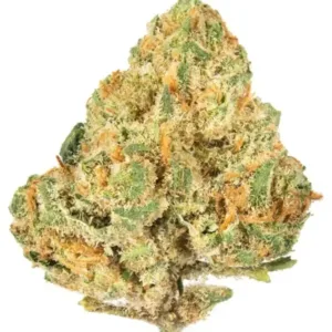 Alien OG Strain