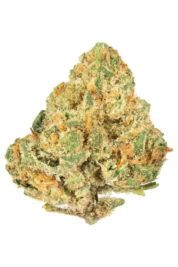 Alien OG Weed Strain (1) Alien OG Strain