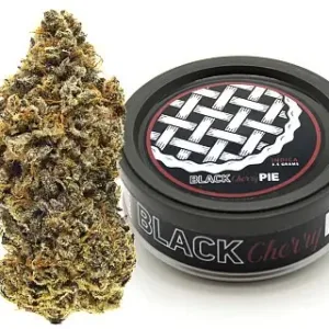 Black Cherry Pie Weed Strain