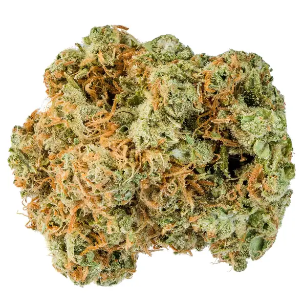 ACAPULCO GOLD For sale ACAPULCO GOLD