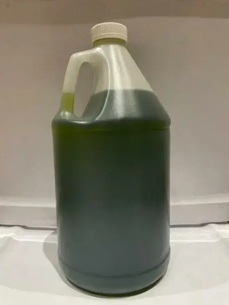 Green K2 Dark Gallon (1) Green K2 Dark Gallon
