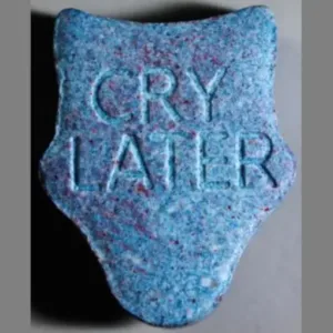 Buy laugh now cry later Online